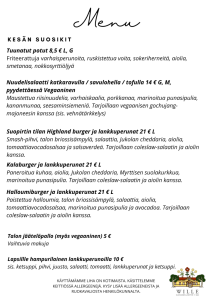 Wille - Olohuone ja Keittiö menu1