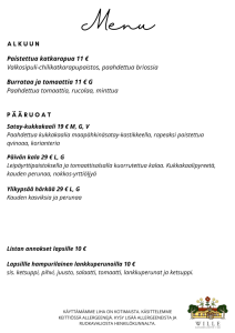 Wille - Olohuone ja Keittiö menu2